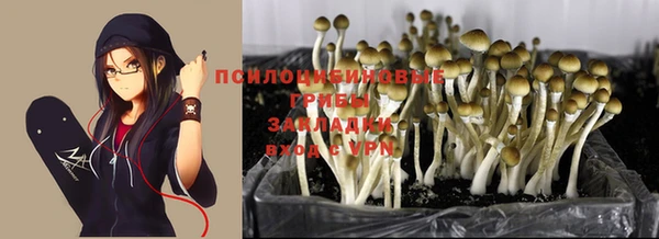 гидропоника Белокуриха