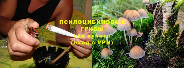 гидропоника Белокуриха