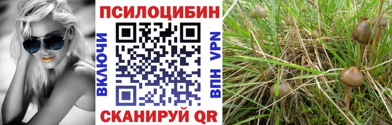 Псилоцибиновые грибы мицелий  Вольск 